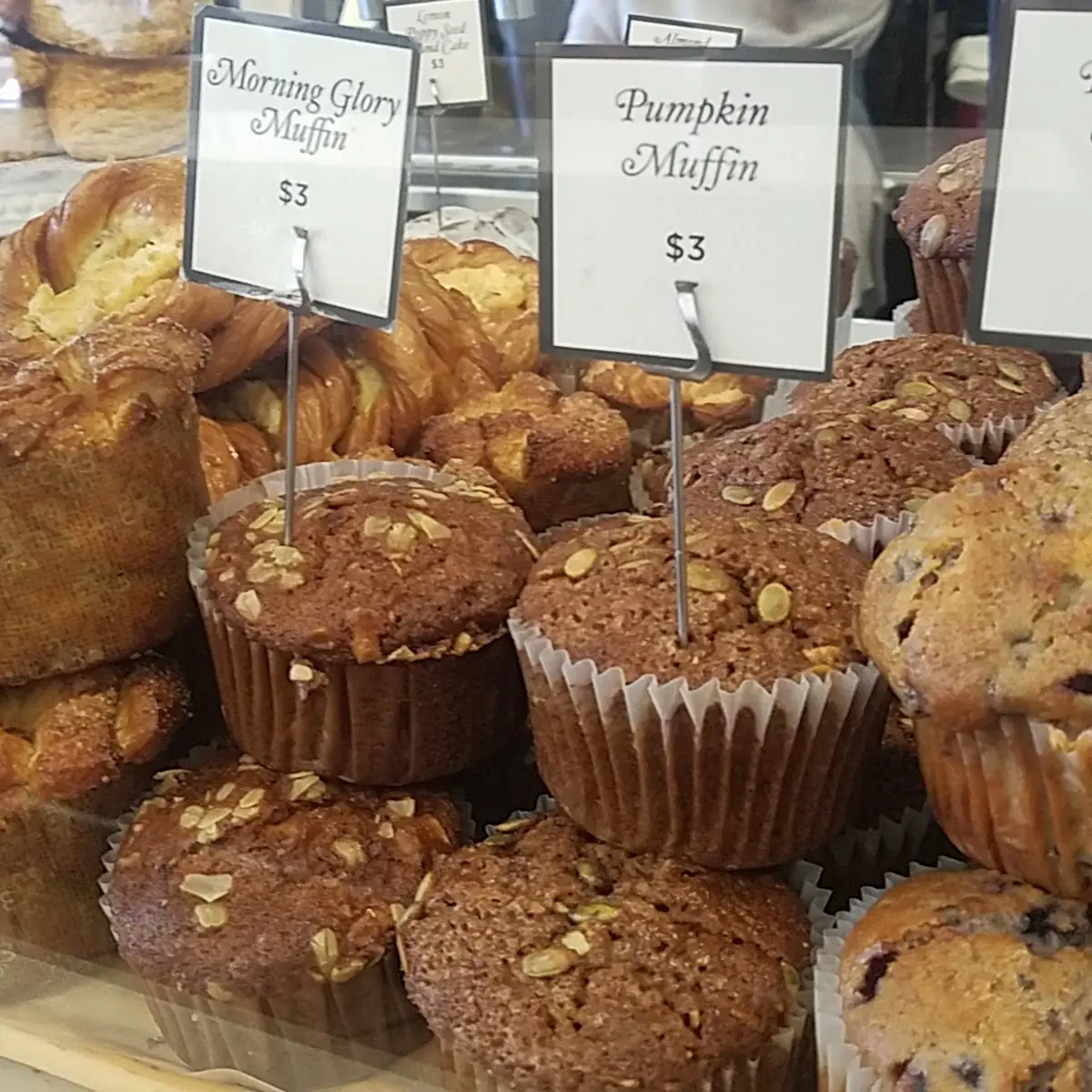 Morning Glory Muffin