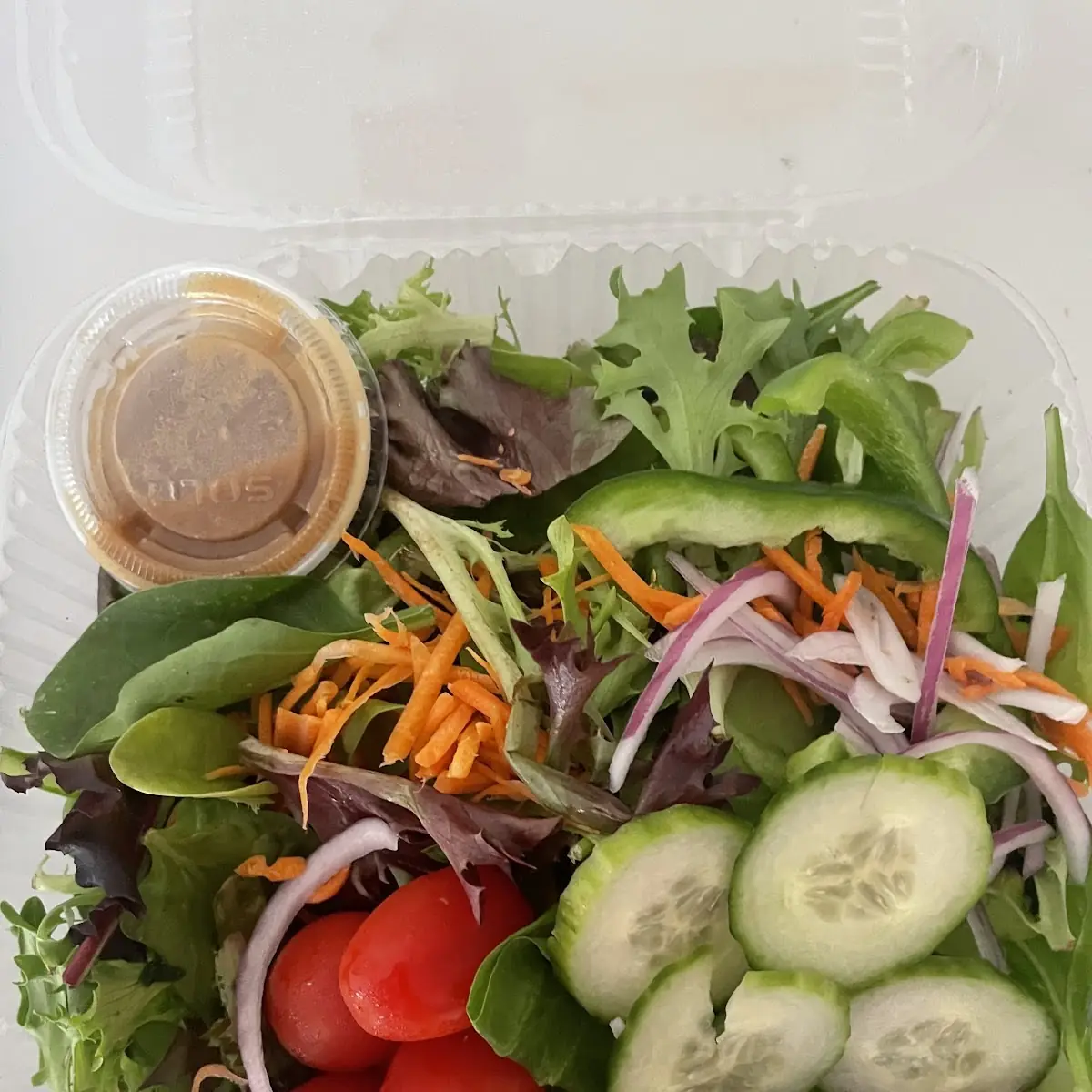 Garden Salad