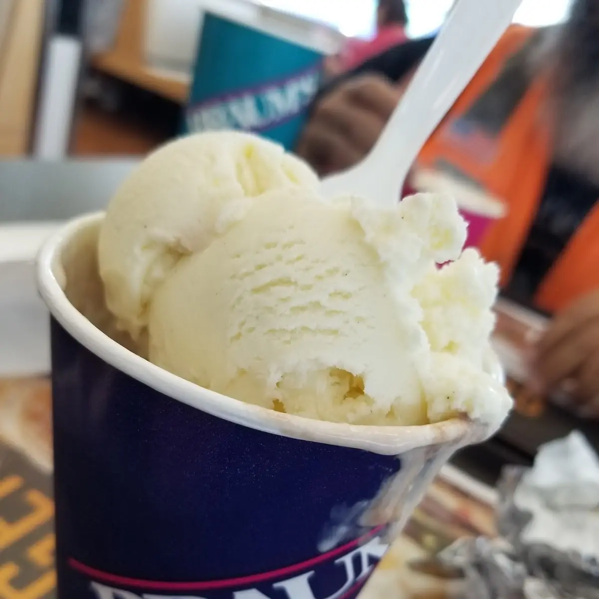 Sugar Free Ice Cream