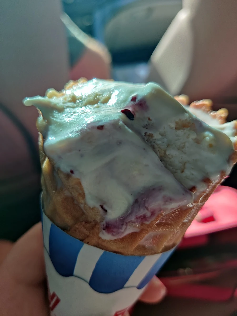 Blueberry Creme Pie