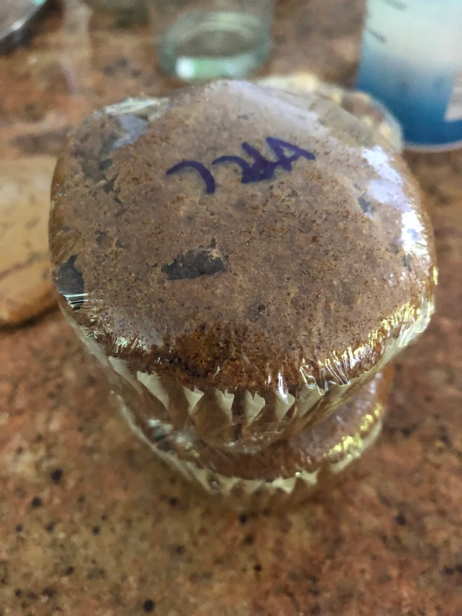 Vegan Pumpkin Chocolate Chip Muffin