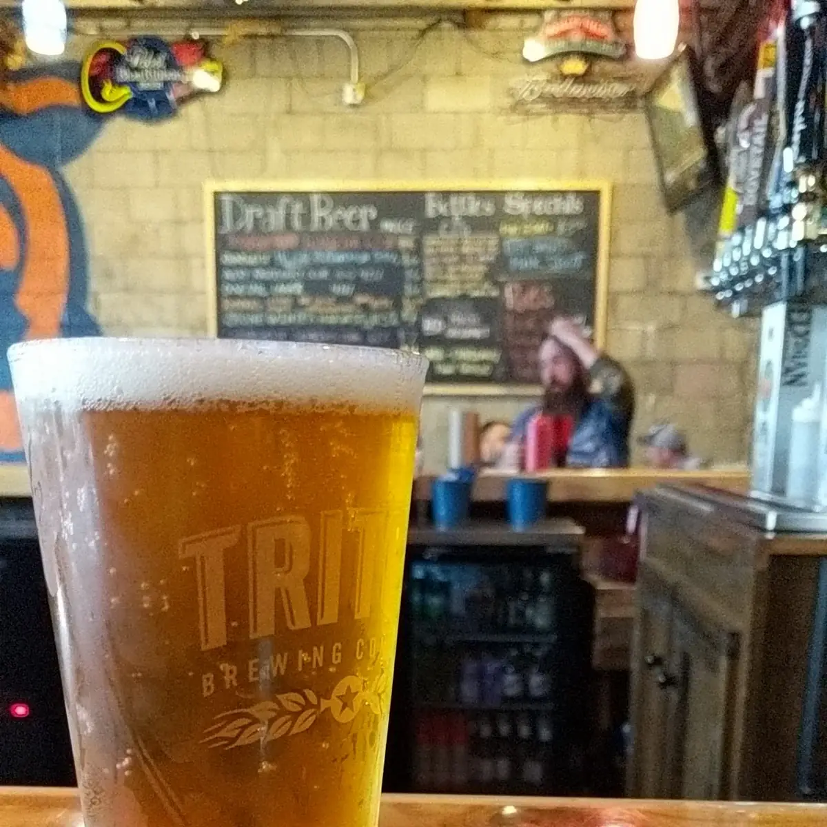 IPA Beer Cheese Fries