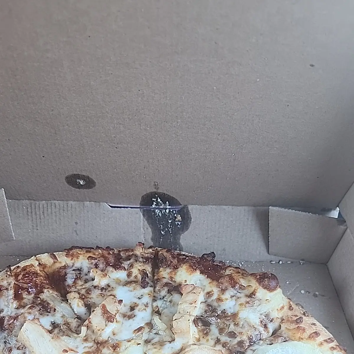 BBQ Chicken Pizza