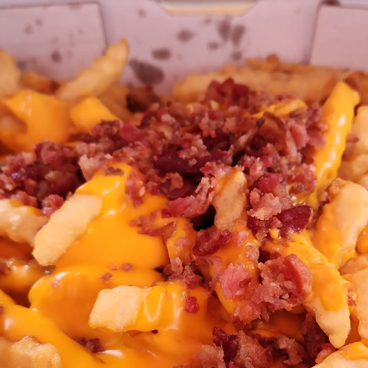 Bacon Cheddar Fries