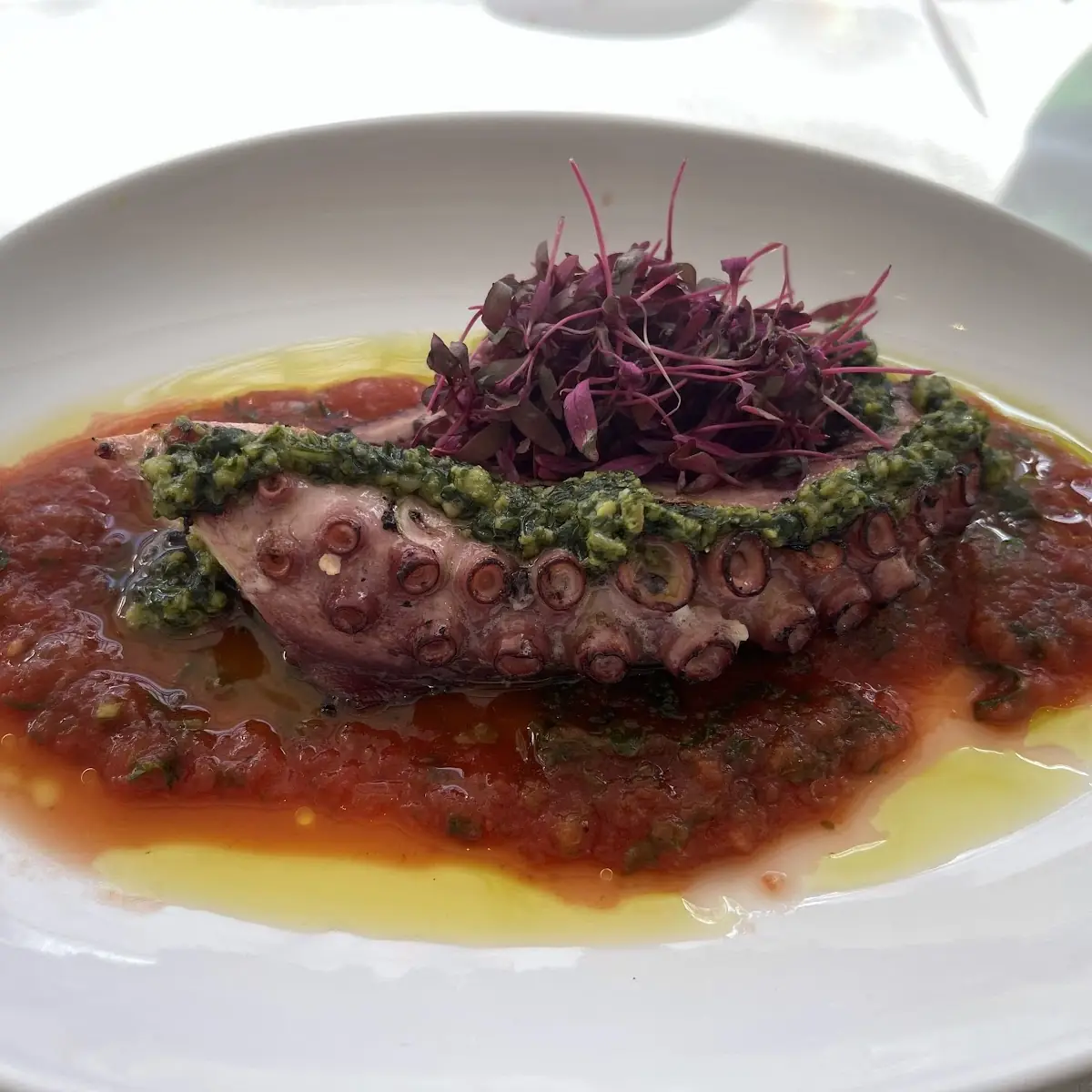 Grilled Octopus