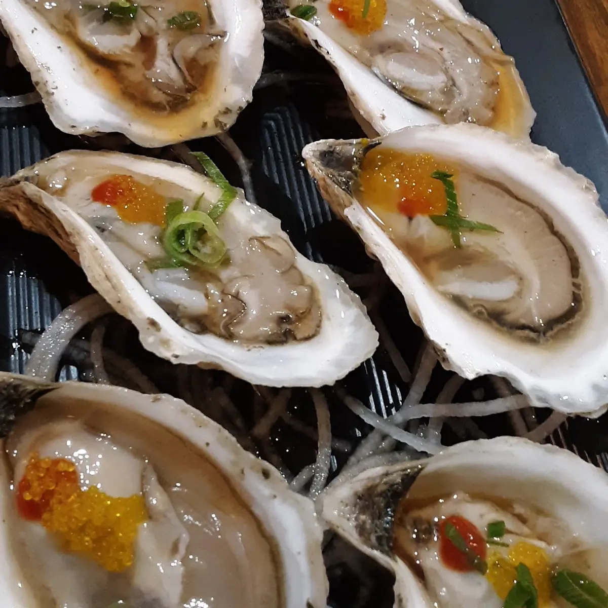 Oysters on the Half Shell