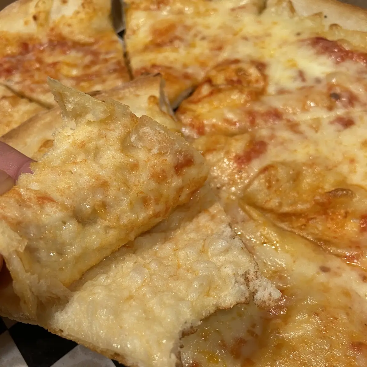 Cheese Pizza