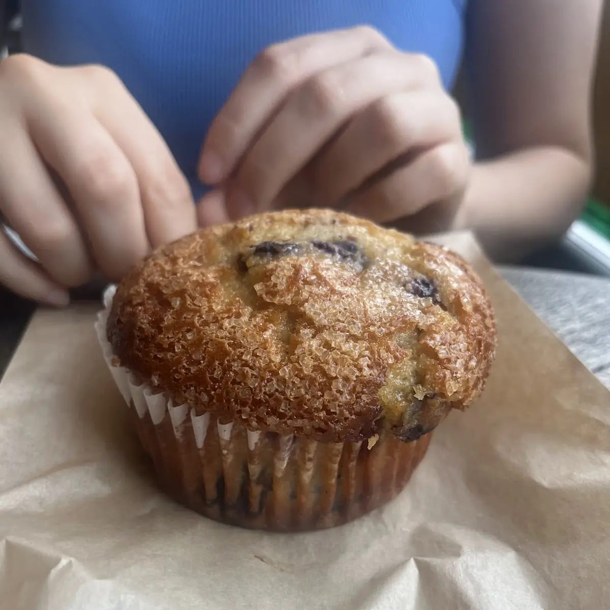 Blueberry Muffin