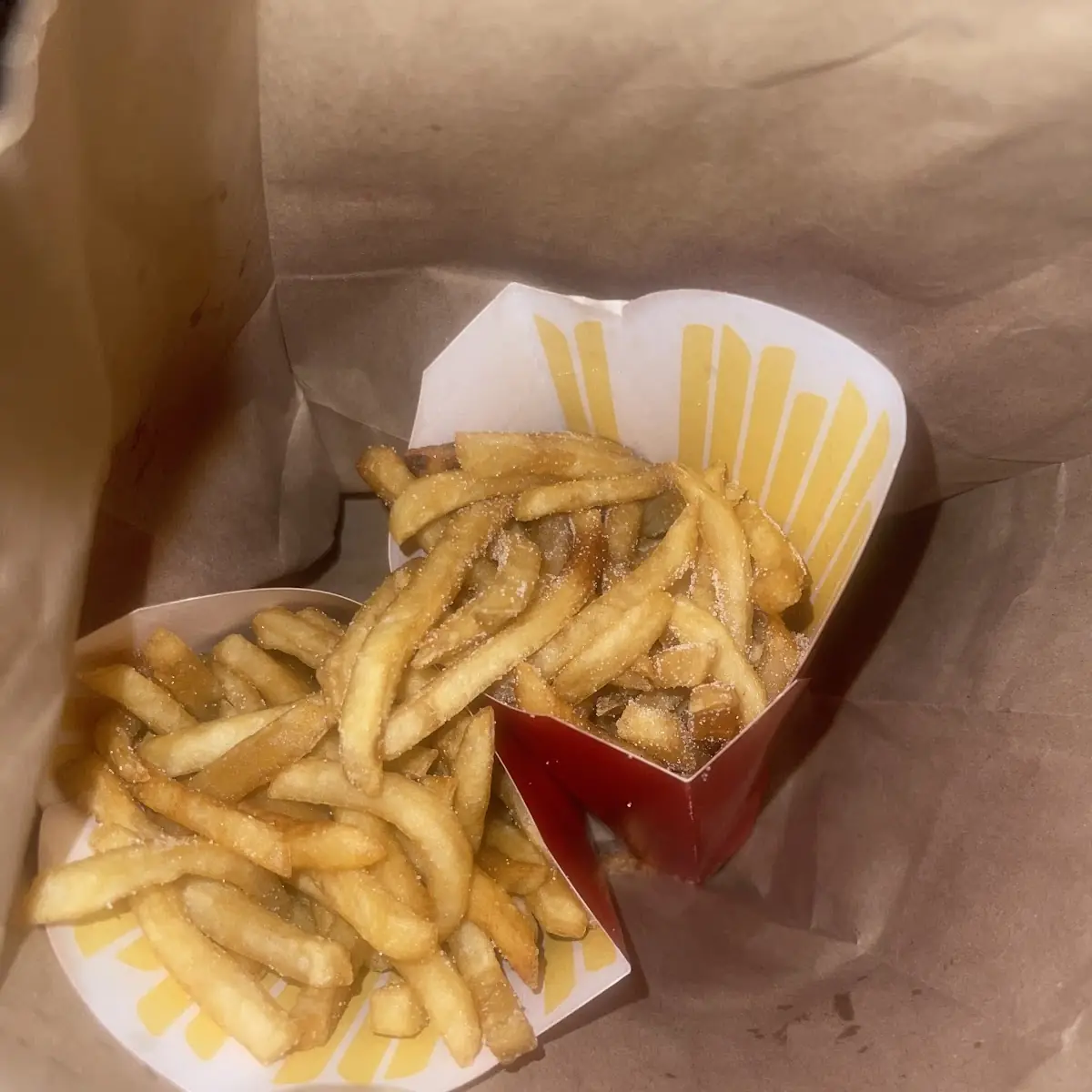 World Famous Fries