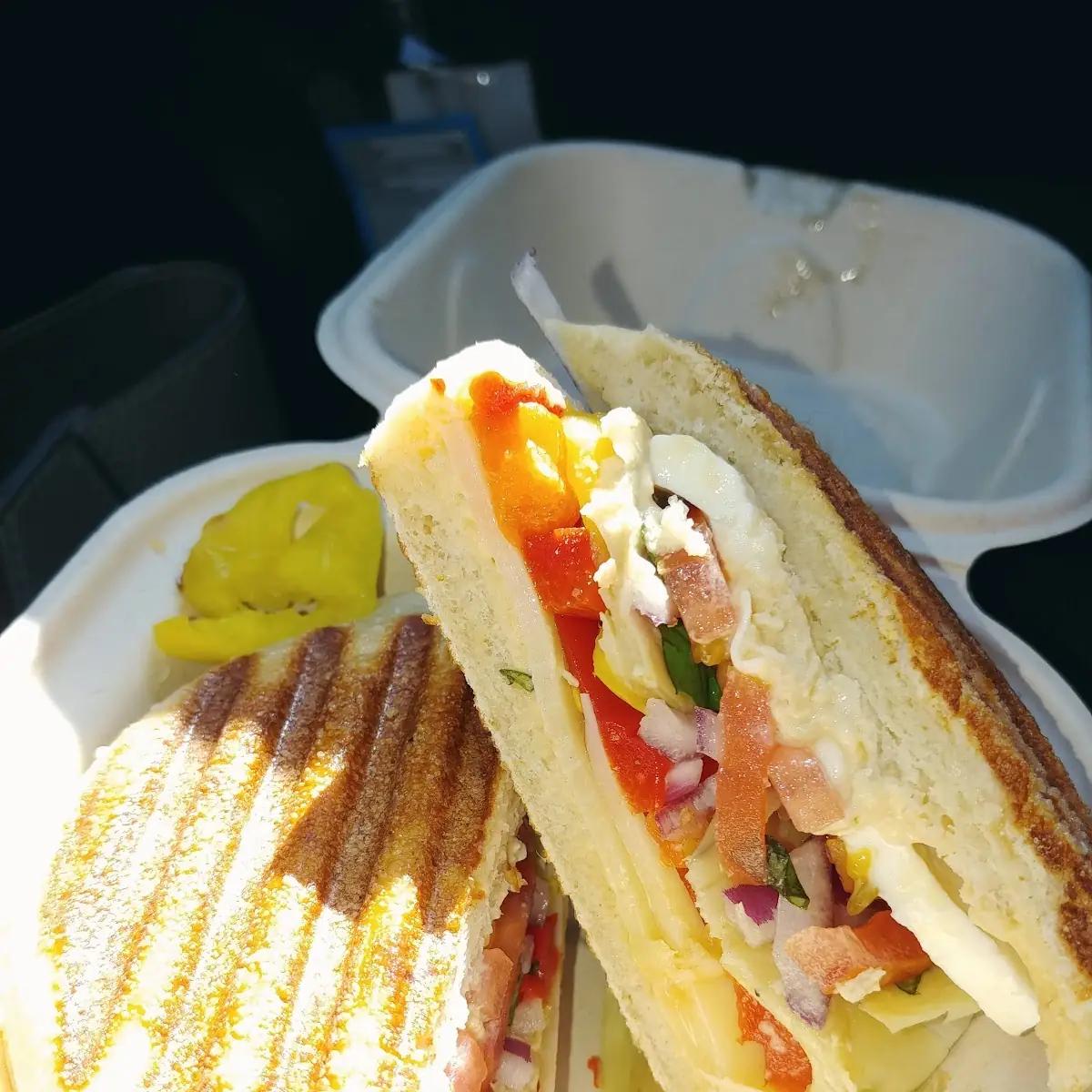 Hummus Veggie Panini