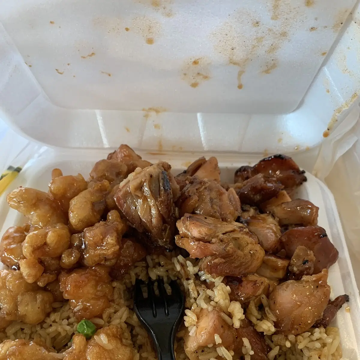 Teriyaki Chicken with Fried Rice