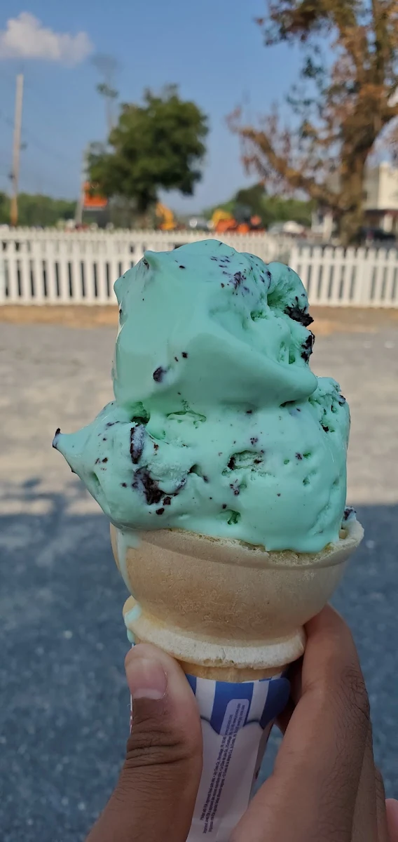 Mint Chocolate Chip