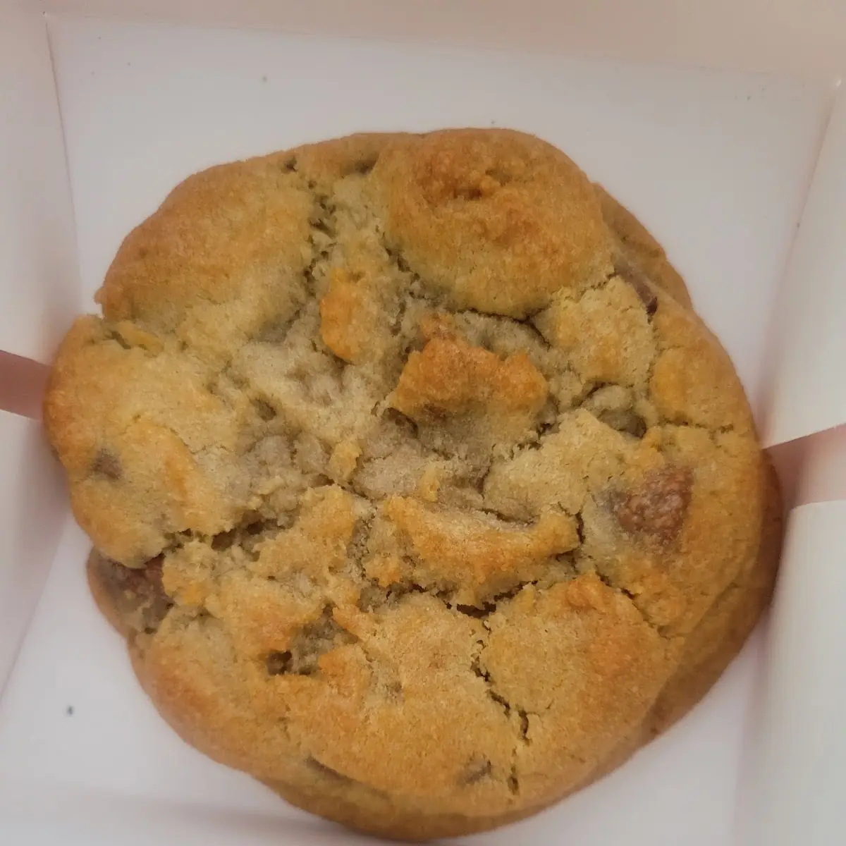 Milk Chocolate Chip Cookie