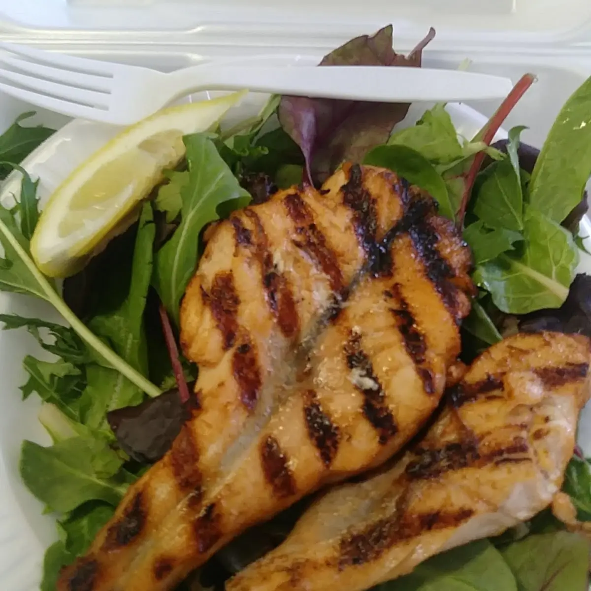 Charbroiled Seafood on Mixed Greens