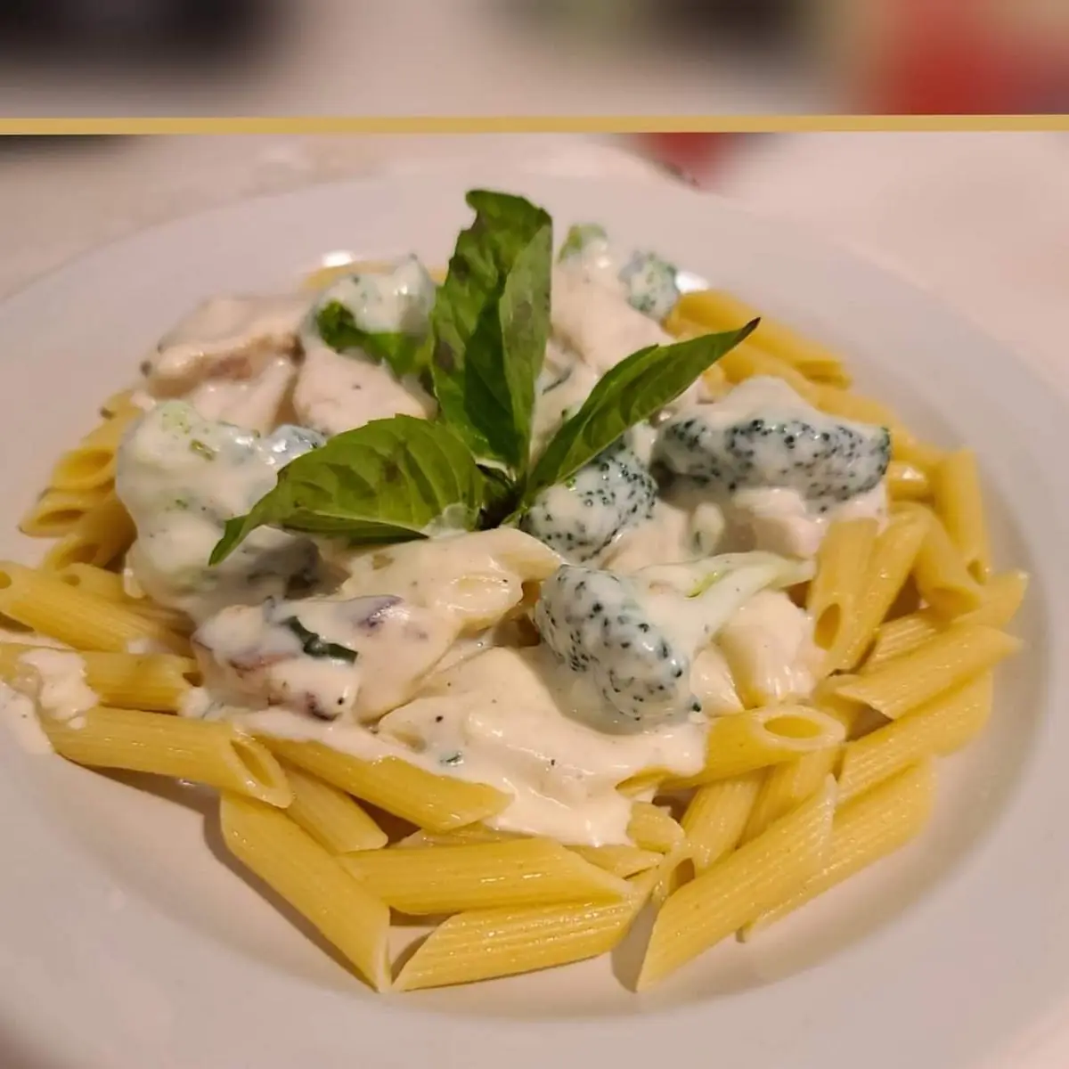 Special Chicken Alfredo