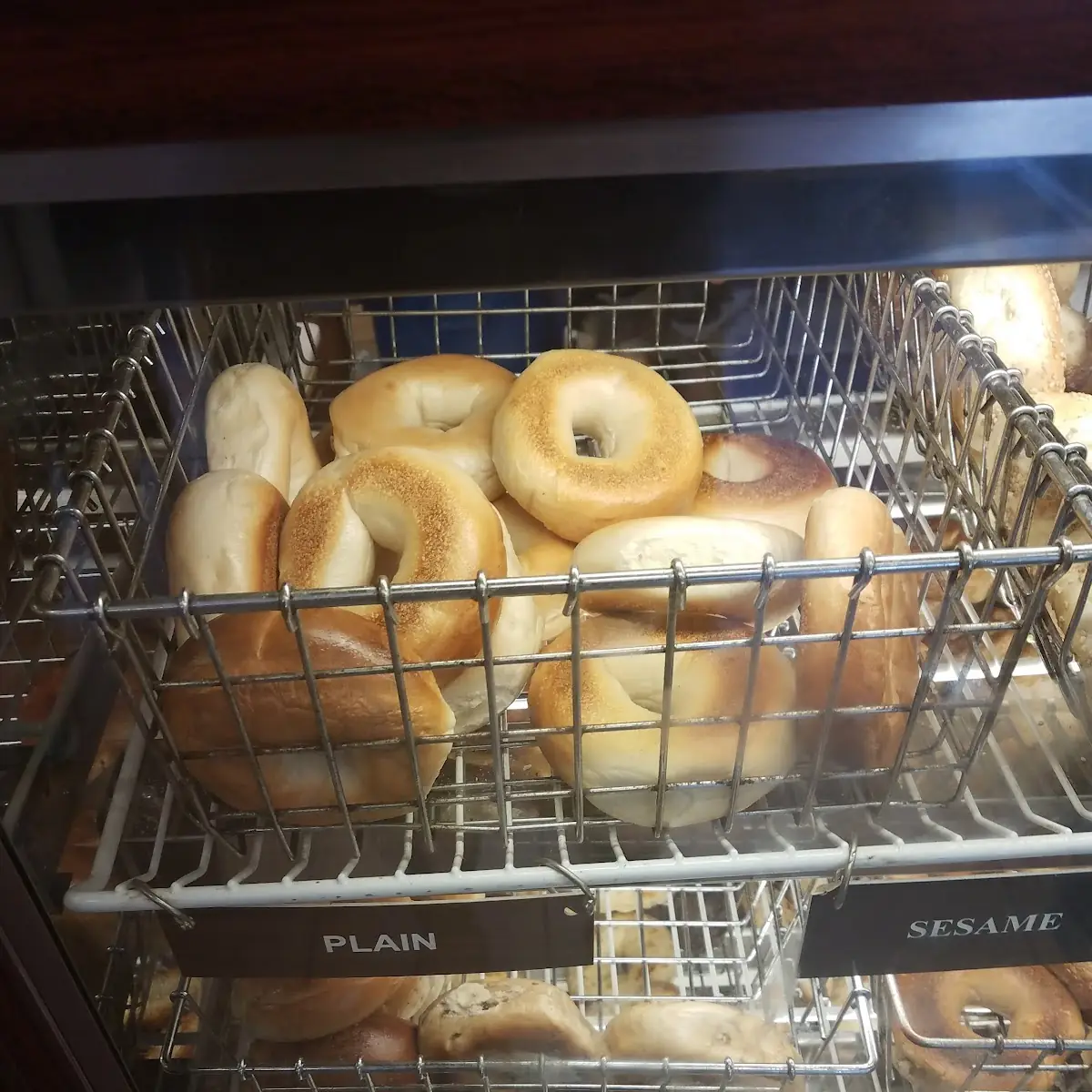 Plain Bagel