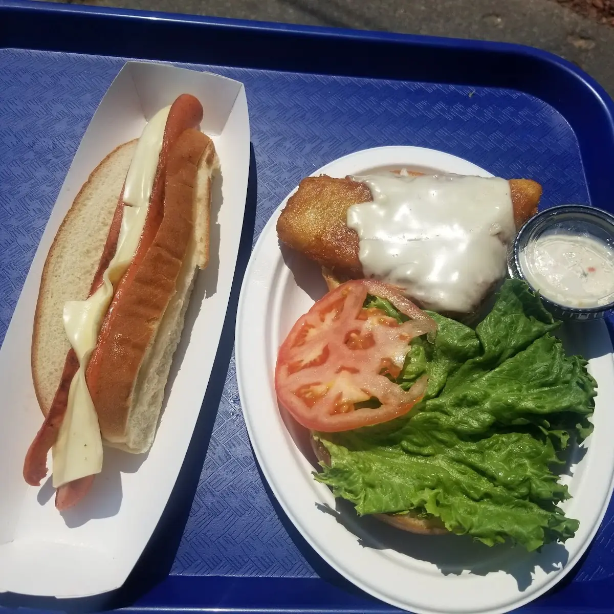 Fish Sandwich and Hotdog