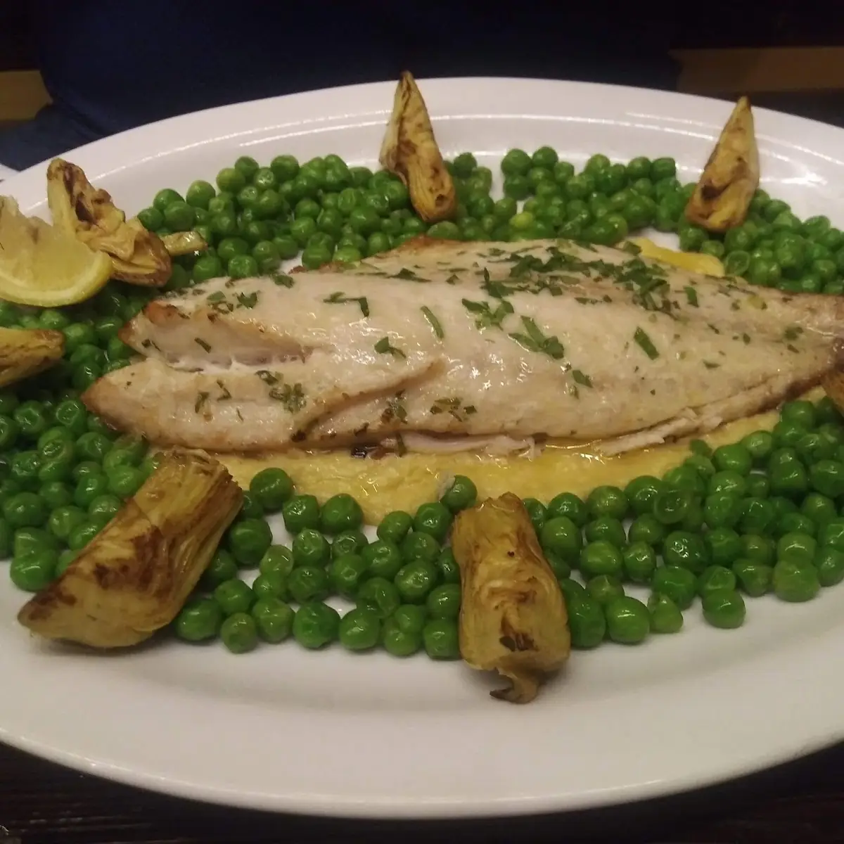 Sea Bass
