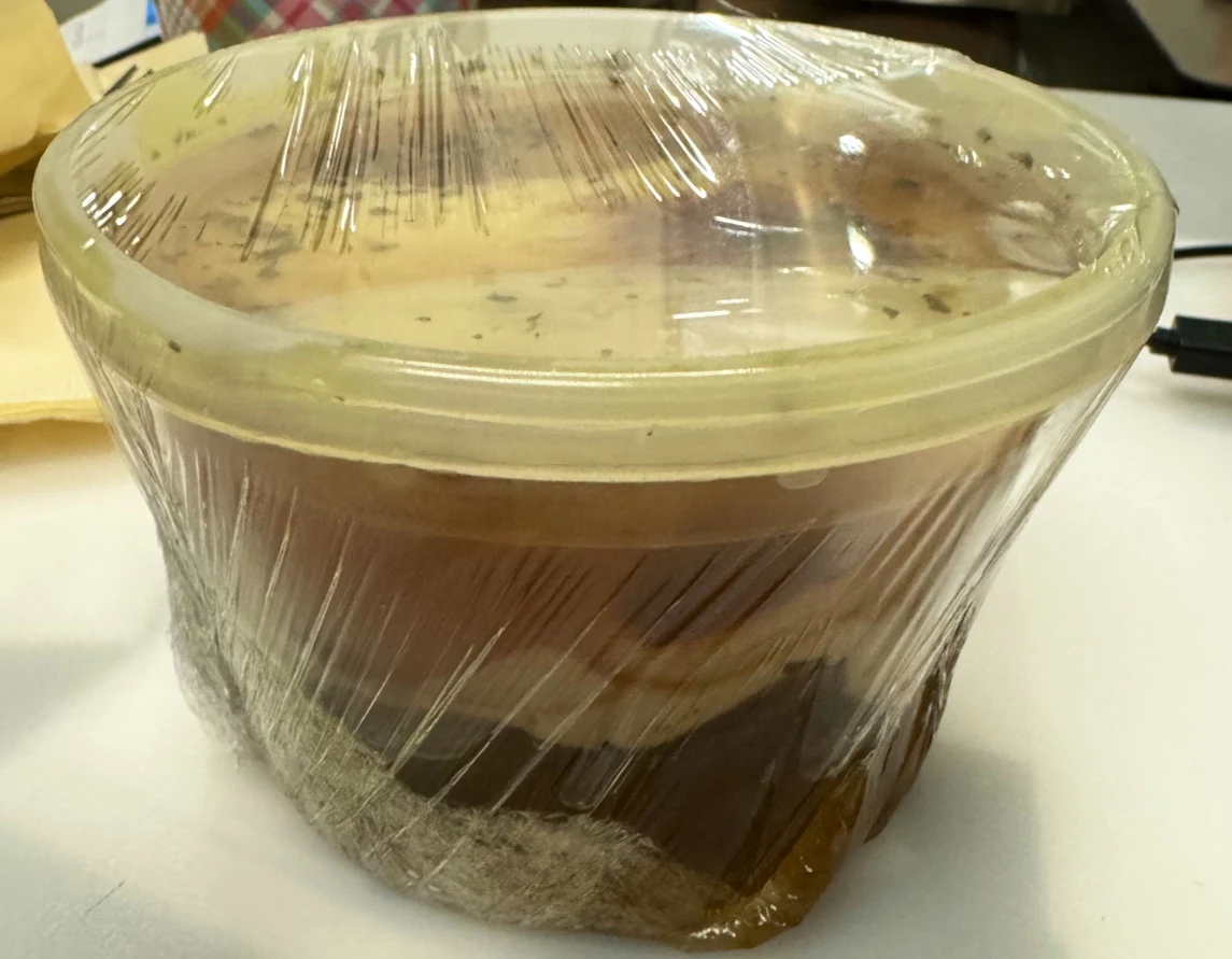 French Onion Soup