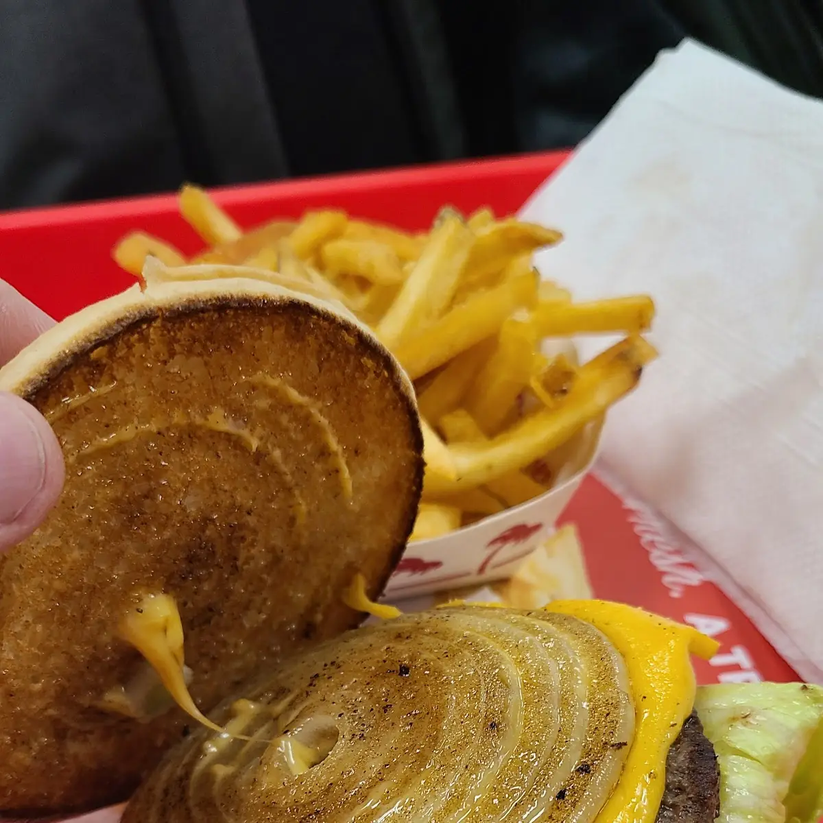 Well Done Fries