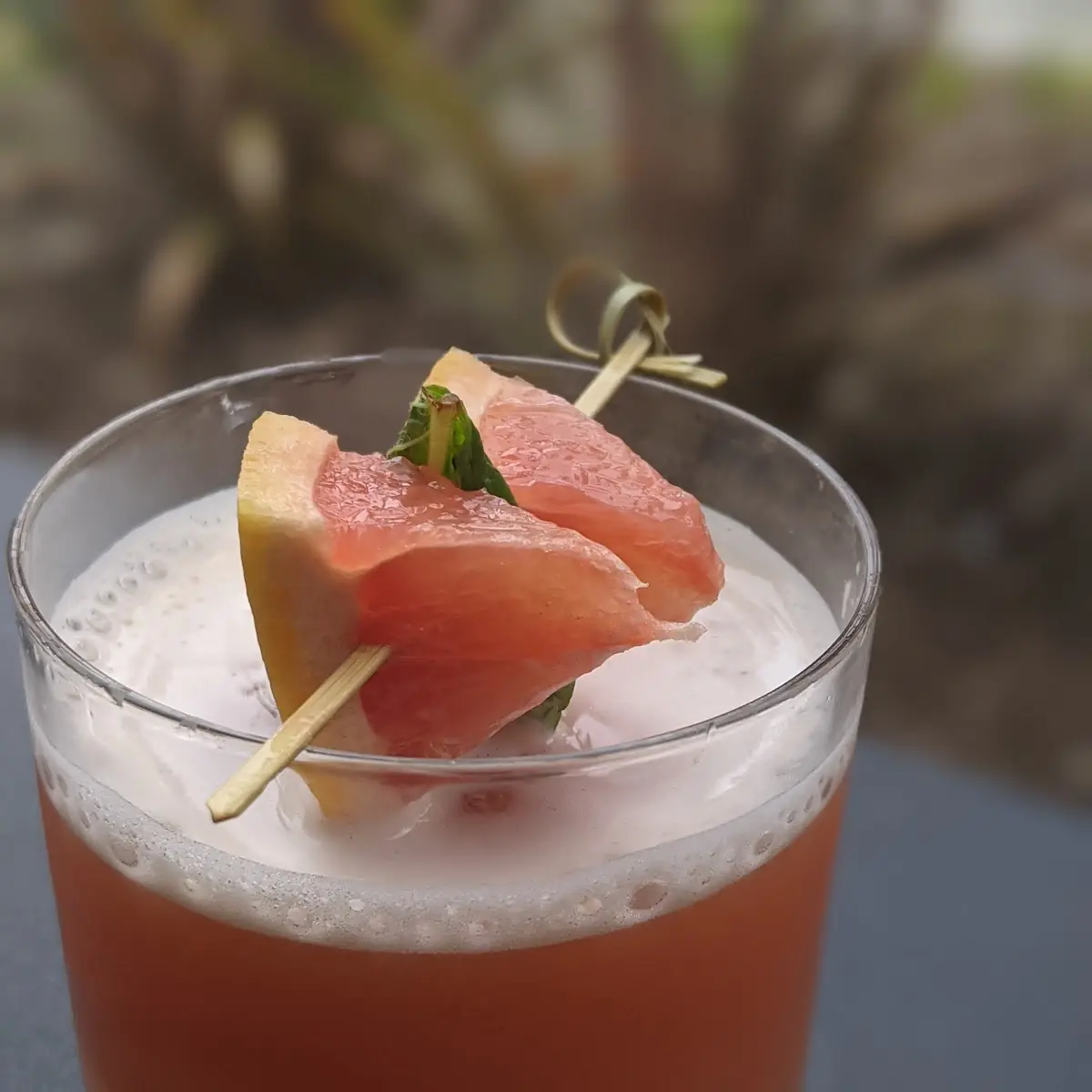 Blood Orange Gin Fizz