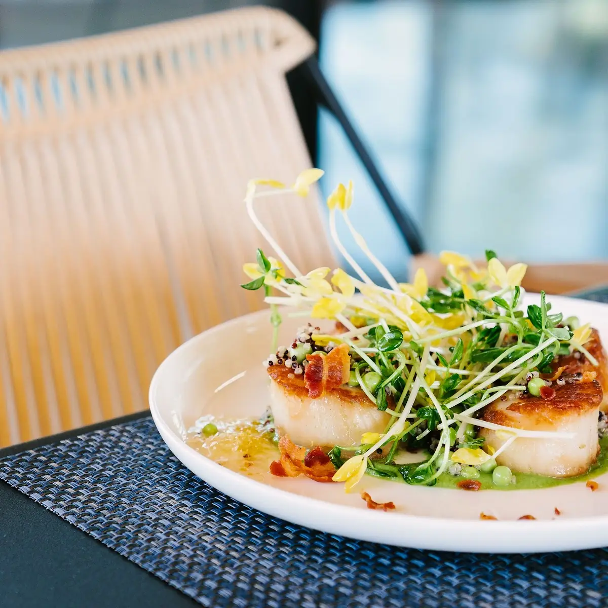 Seared Scallops