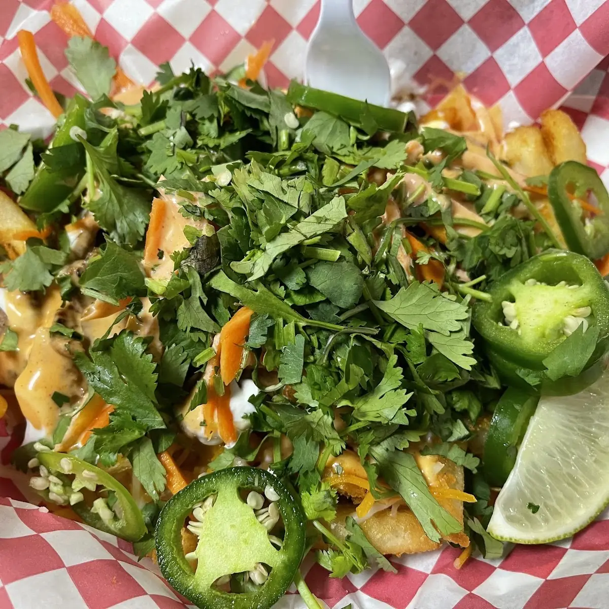 Asada Fries with Cheese Steak