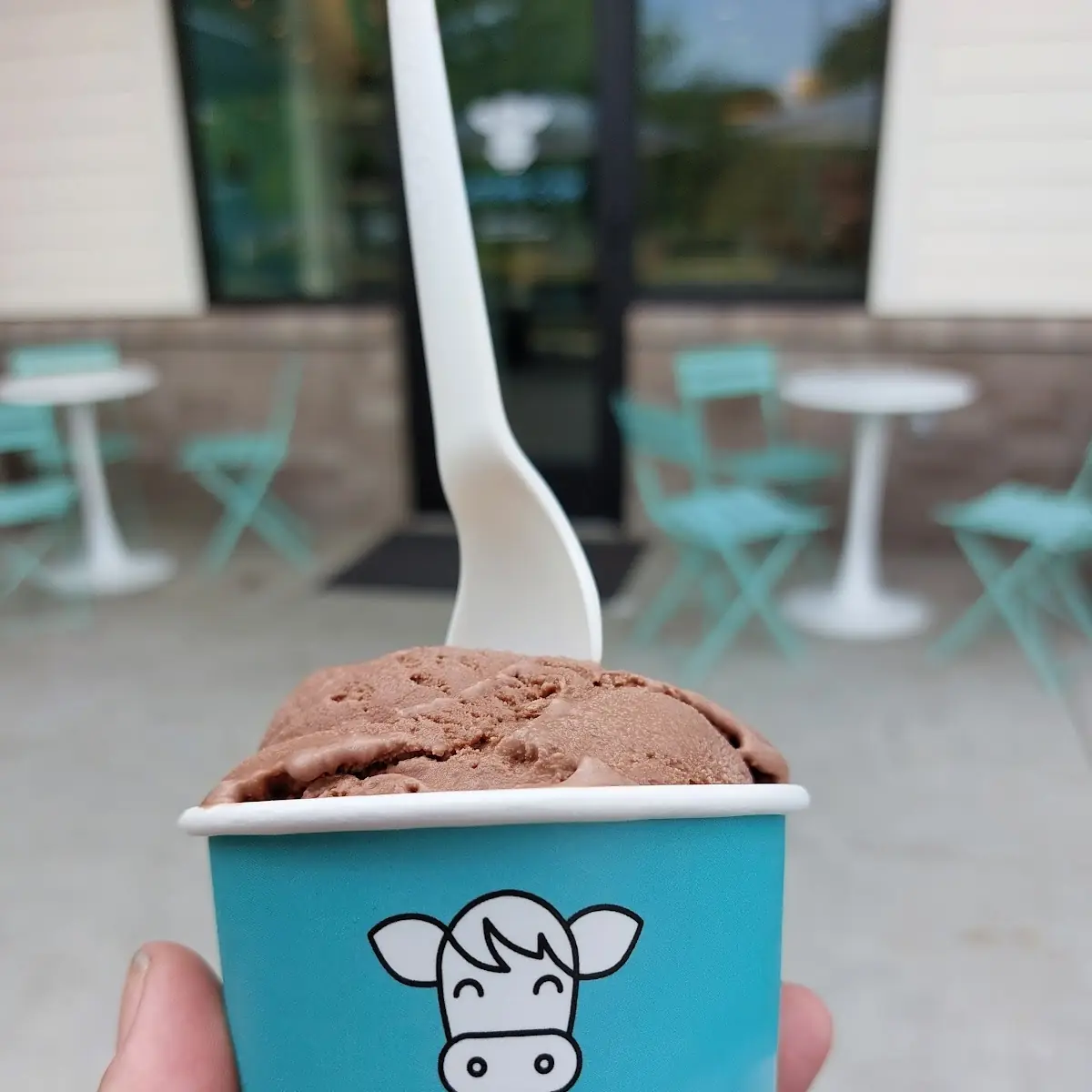 Chocolate Ice Cream