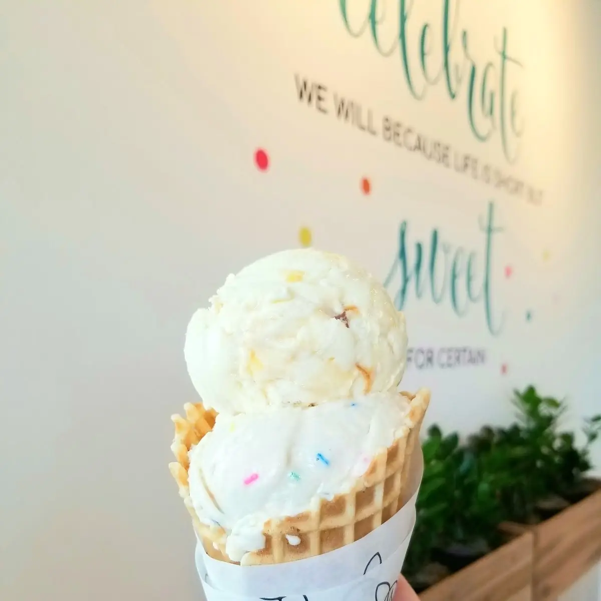 Salted Caramel and Birthday Cake on Waffle Cone
