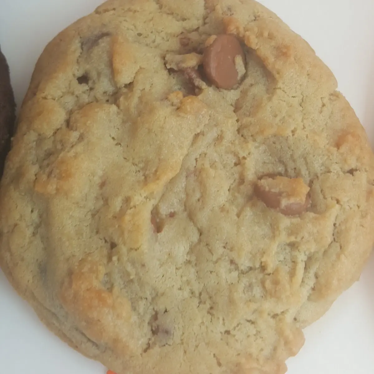Milk Chocolate Chip