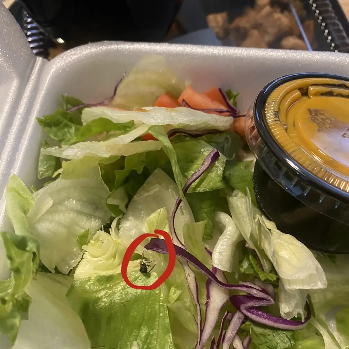 Salad Dressing