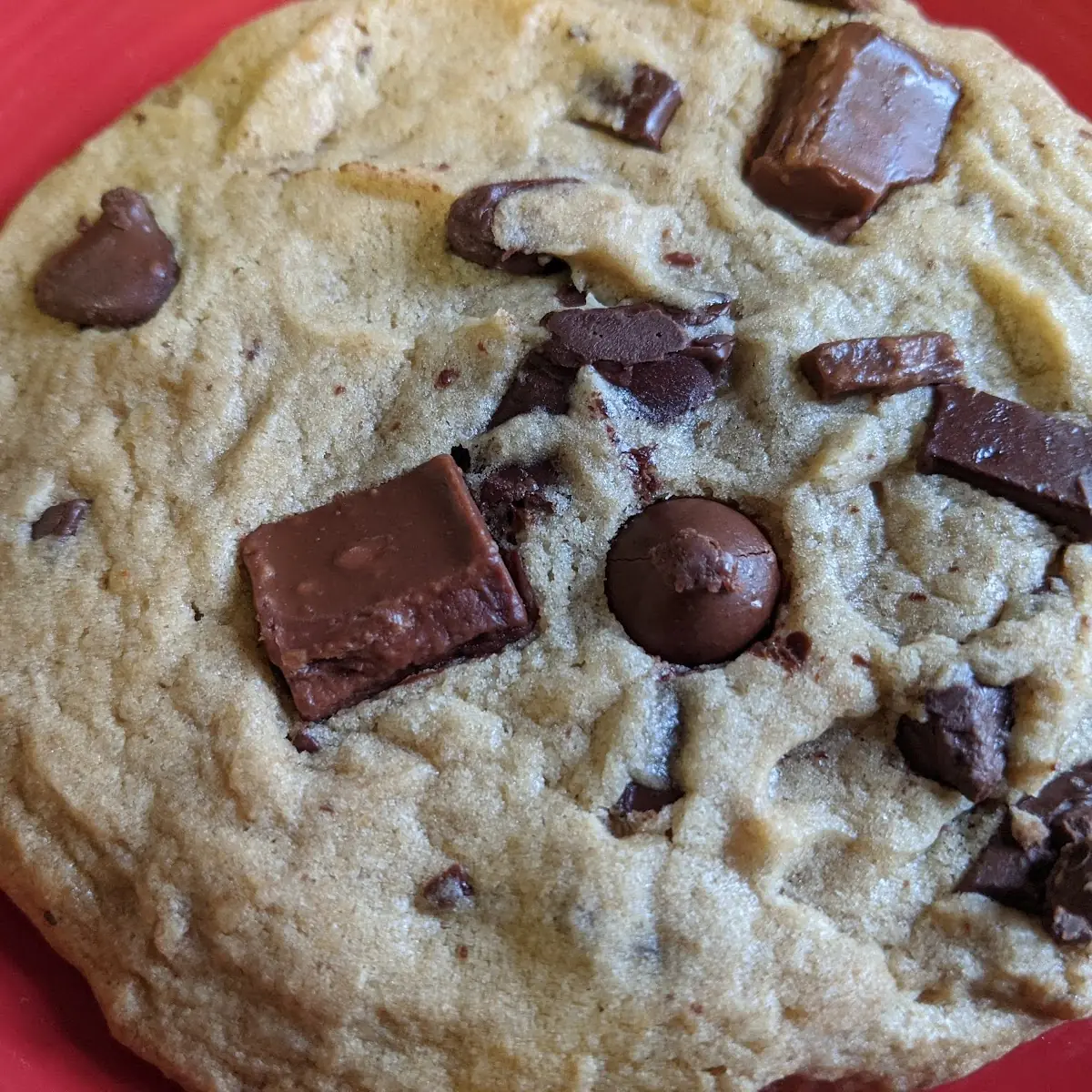 Chocolate Chip Cookie