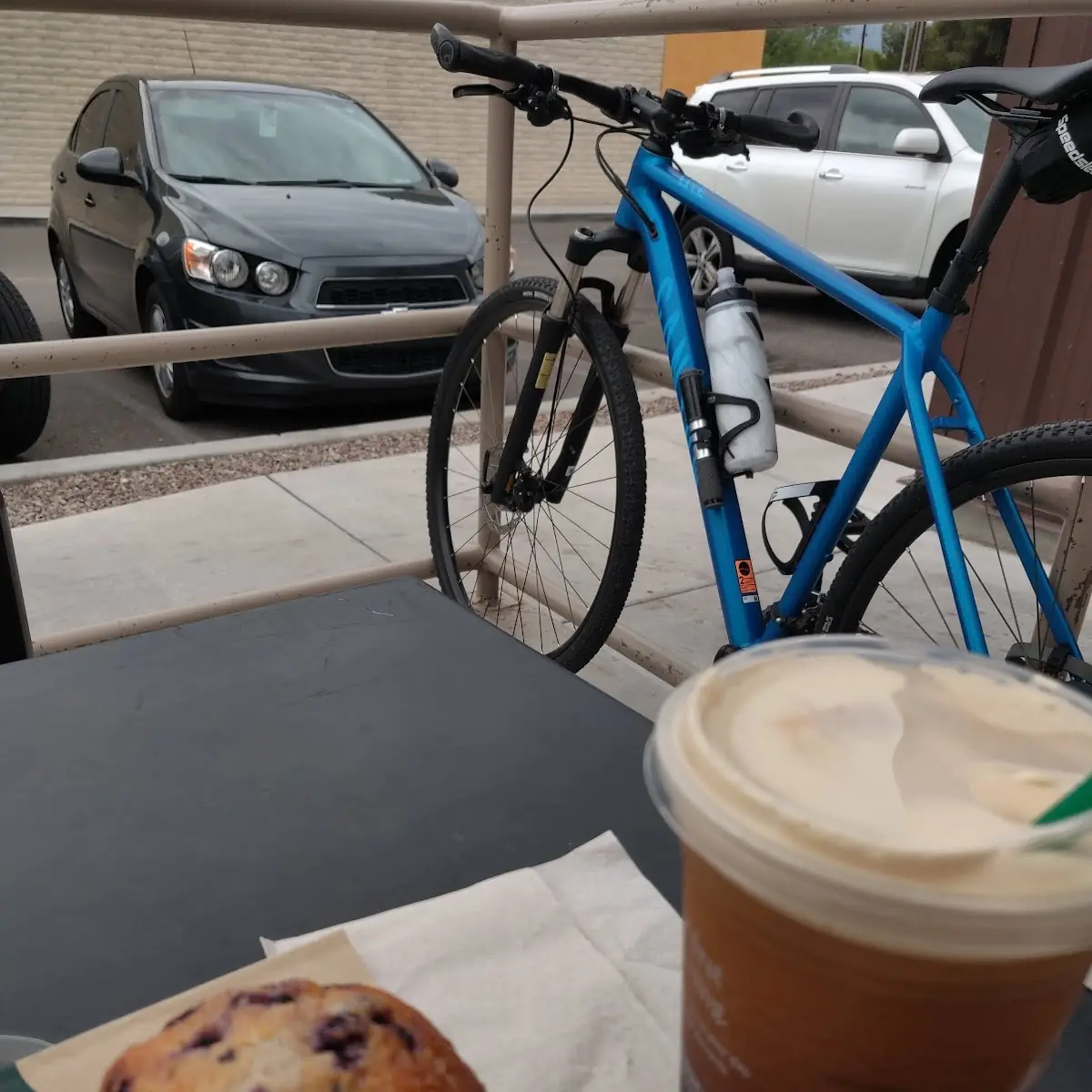 Blueberry Muffin