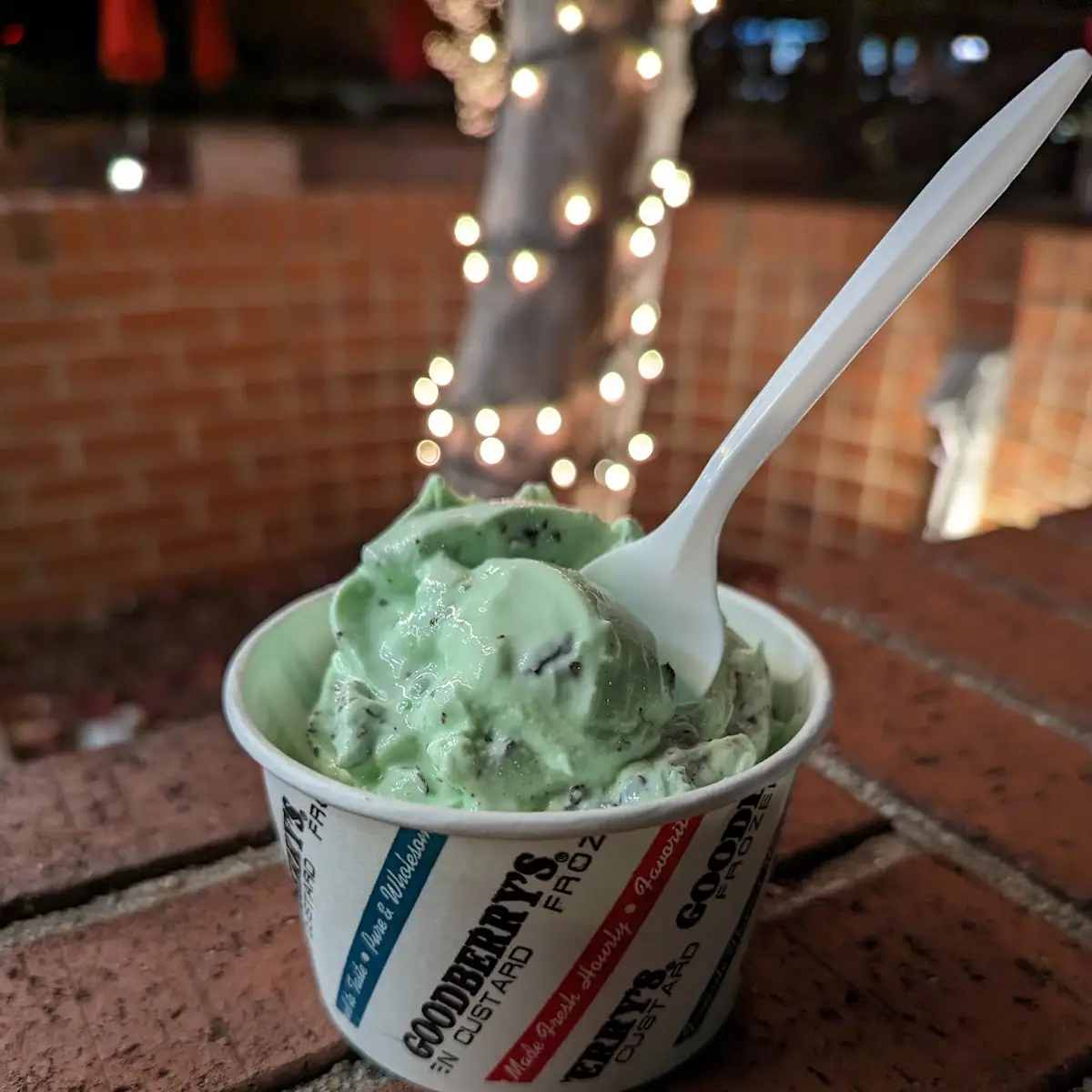 Mini Mint Chocolate Chip