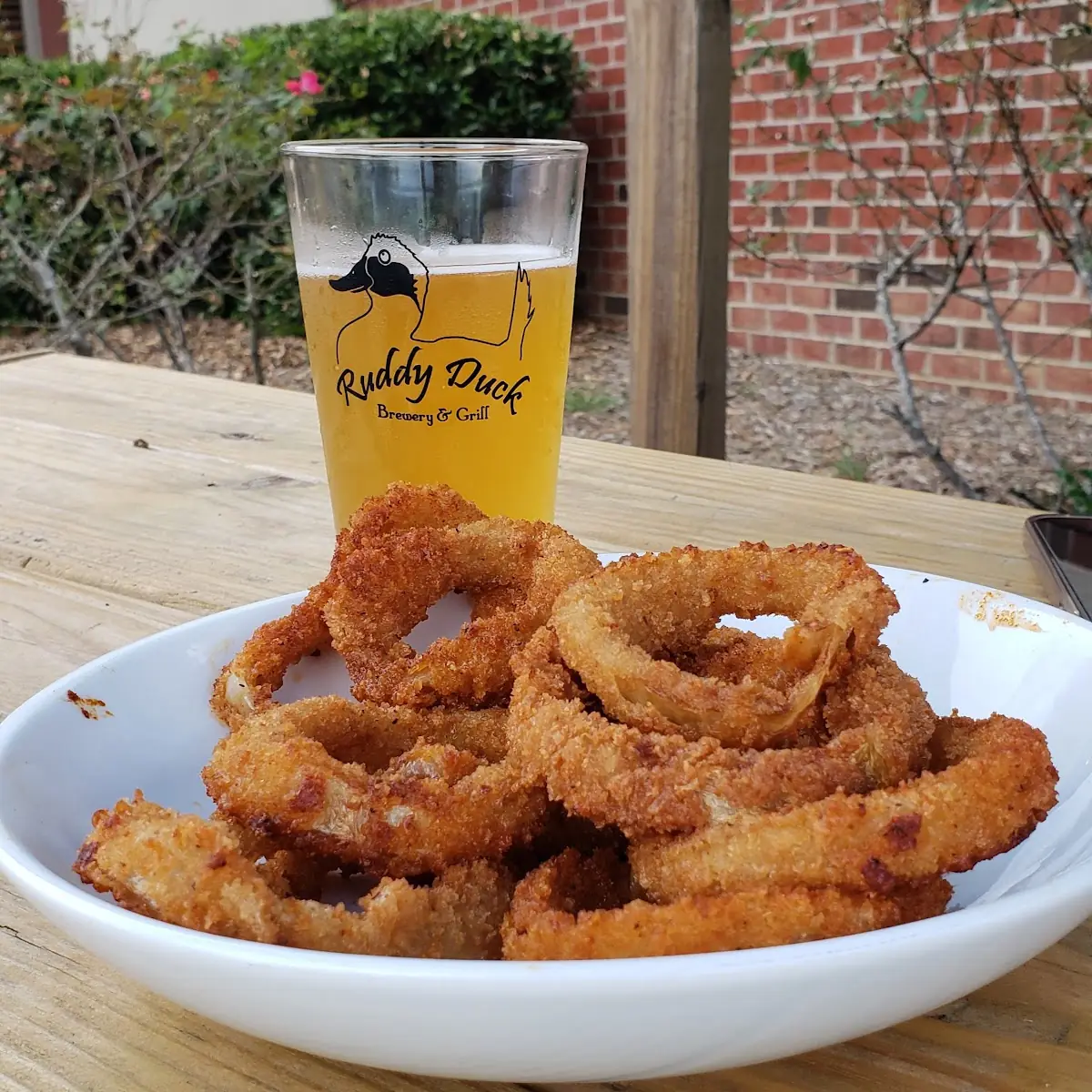 Spicy Onion Rings