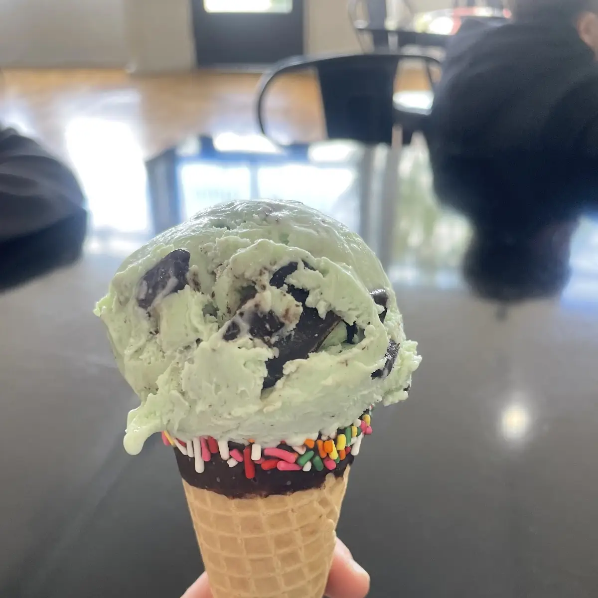 Mint Chocolate Chip Ice Cream
