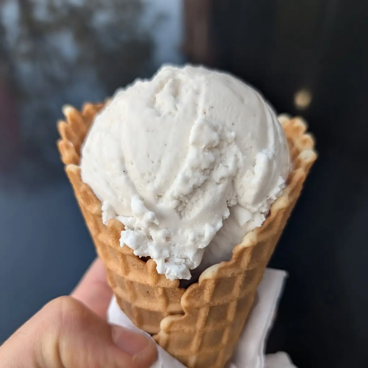 Non-Dairy Vanilla Ice Cream and Waffle Cone