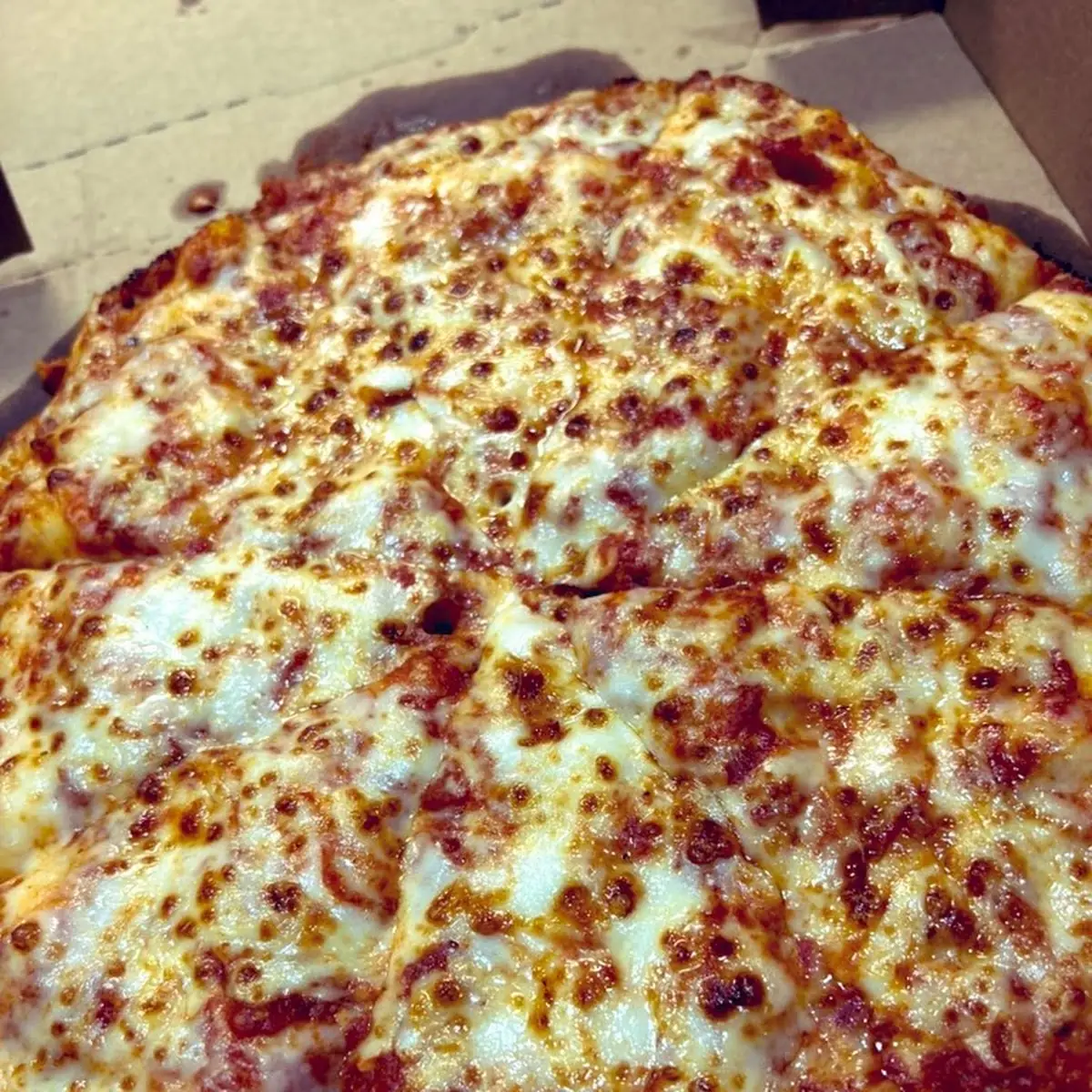 Cheese Pizza 10