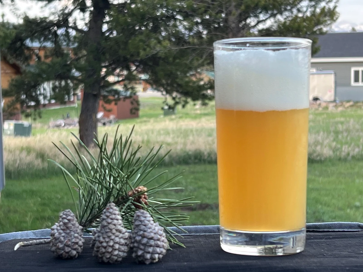 Wheat Beer Glass