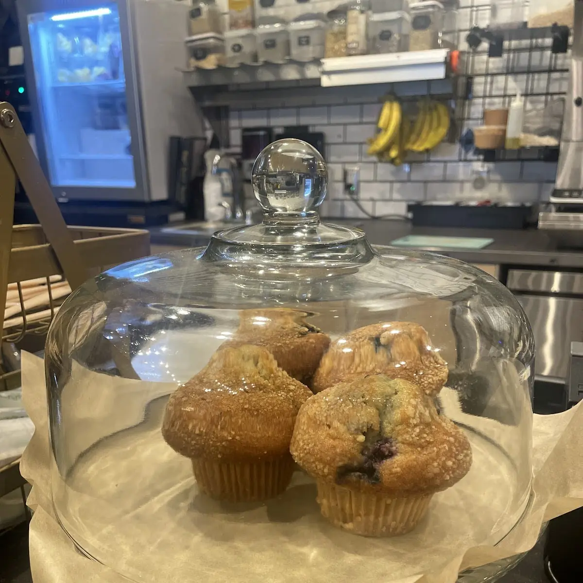 Blueberry Muffin