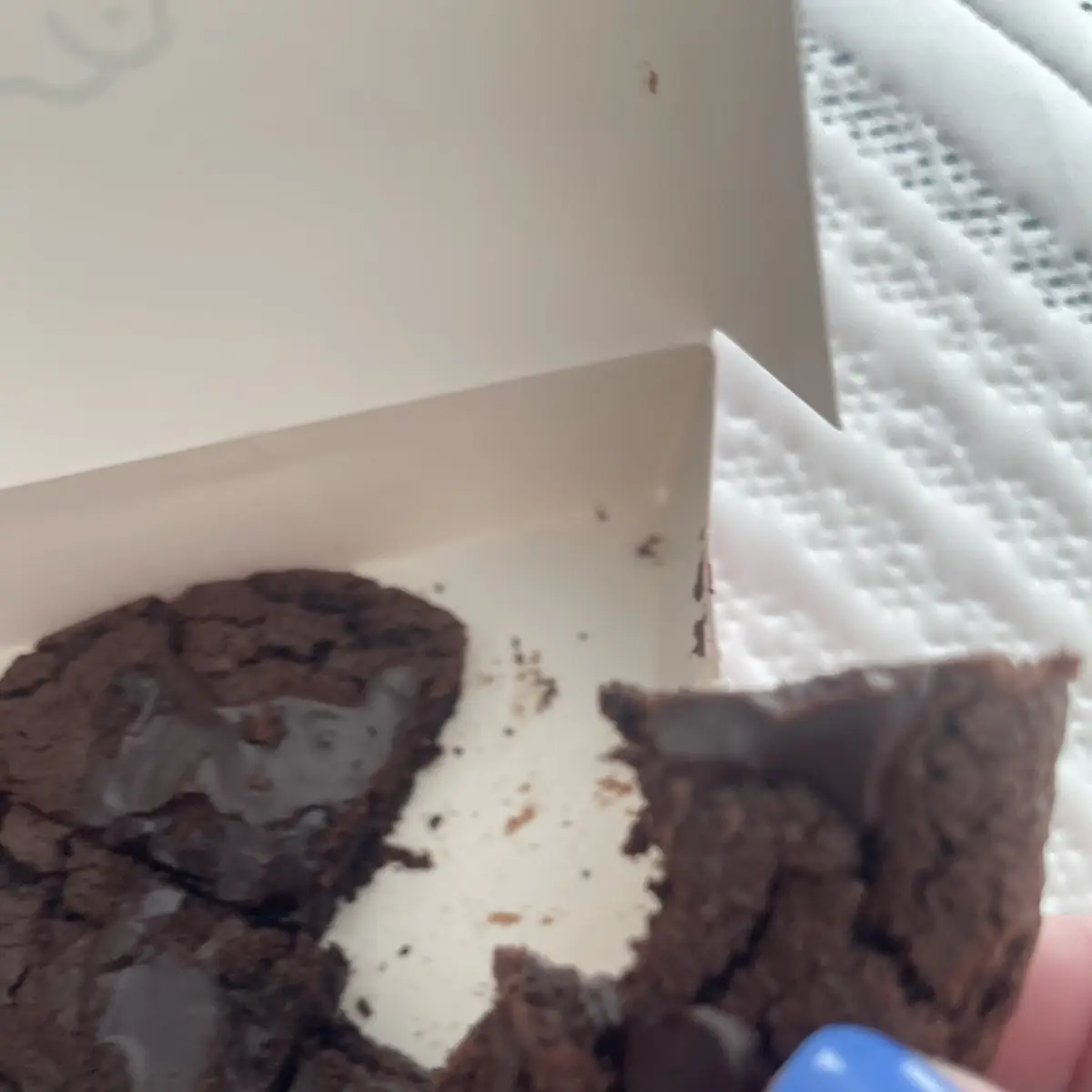 Chocolate Brownie