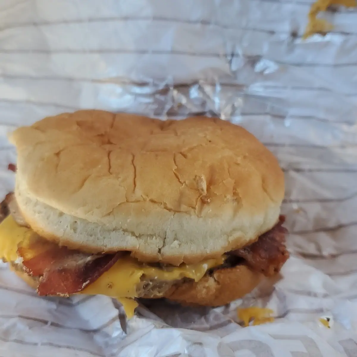 Bacon Cheese Burger Plain
