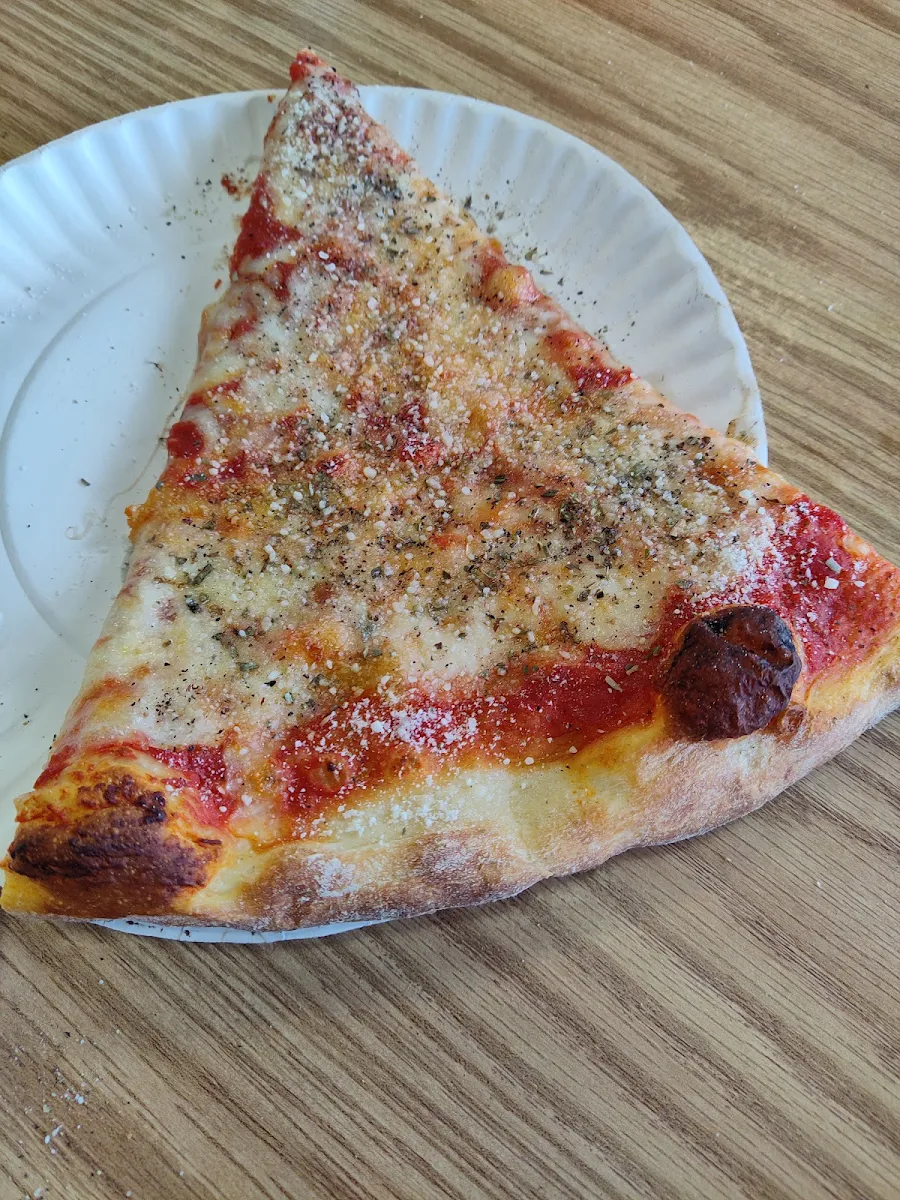 Plain Pizza