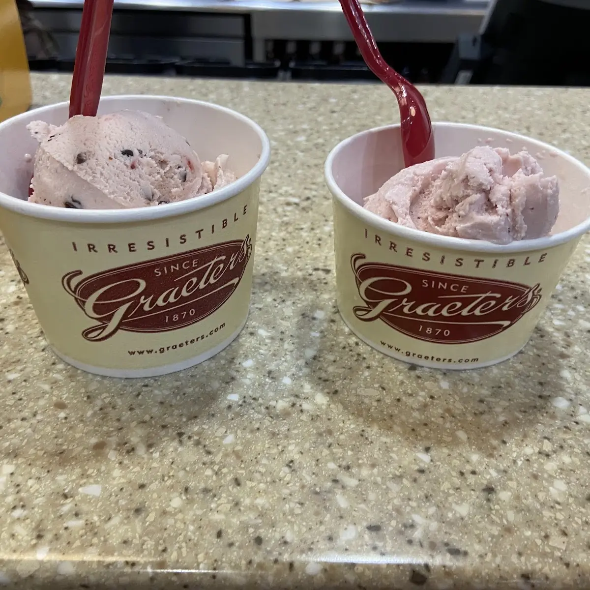 Mint Chocolate Chip Pint