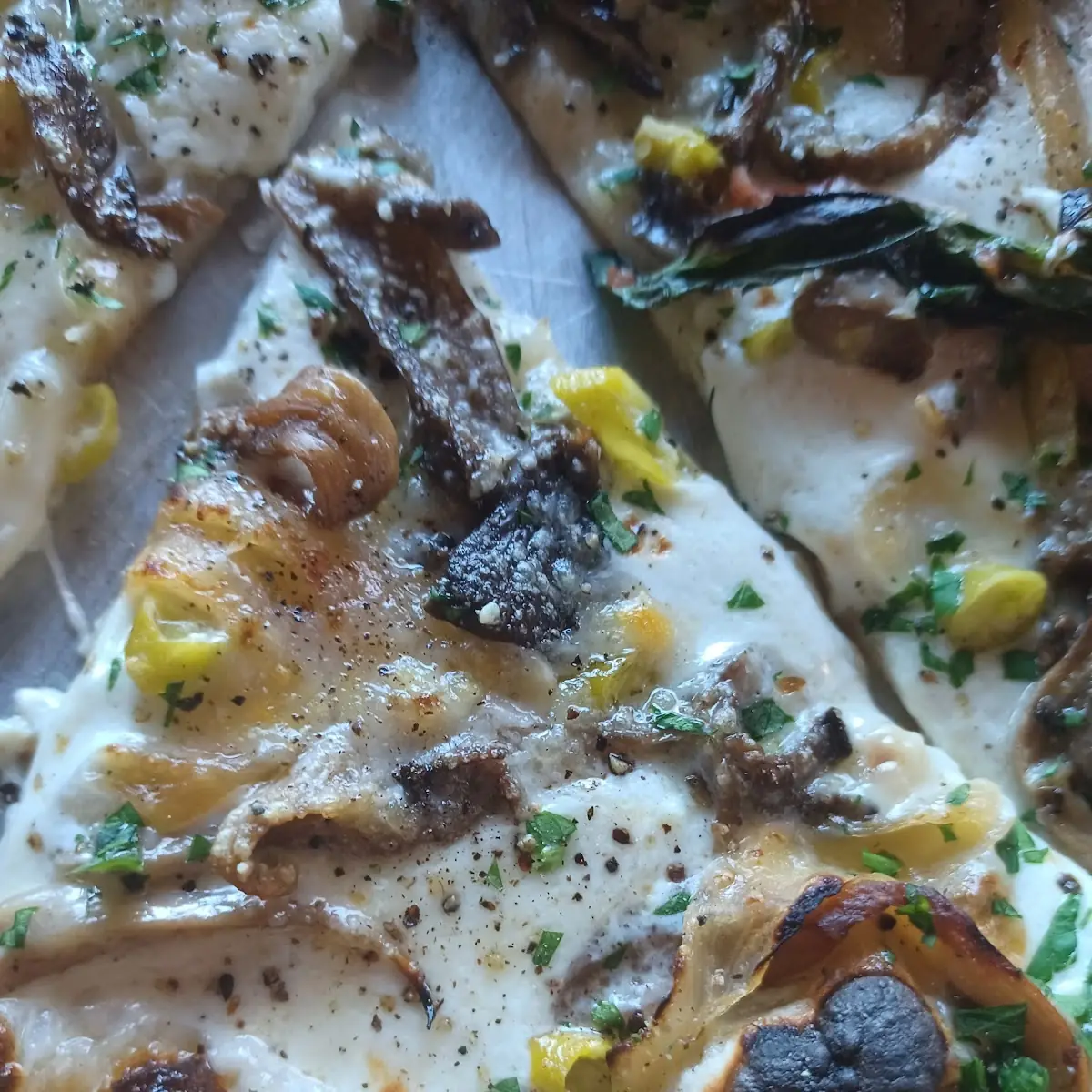 Mushroom Pizza