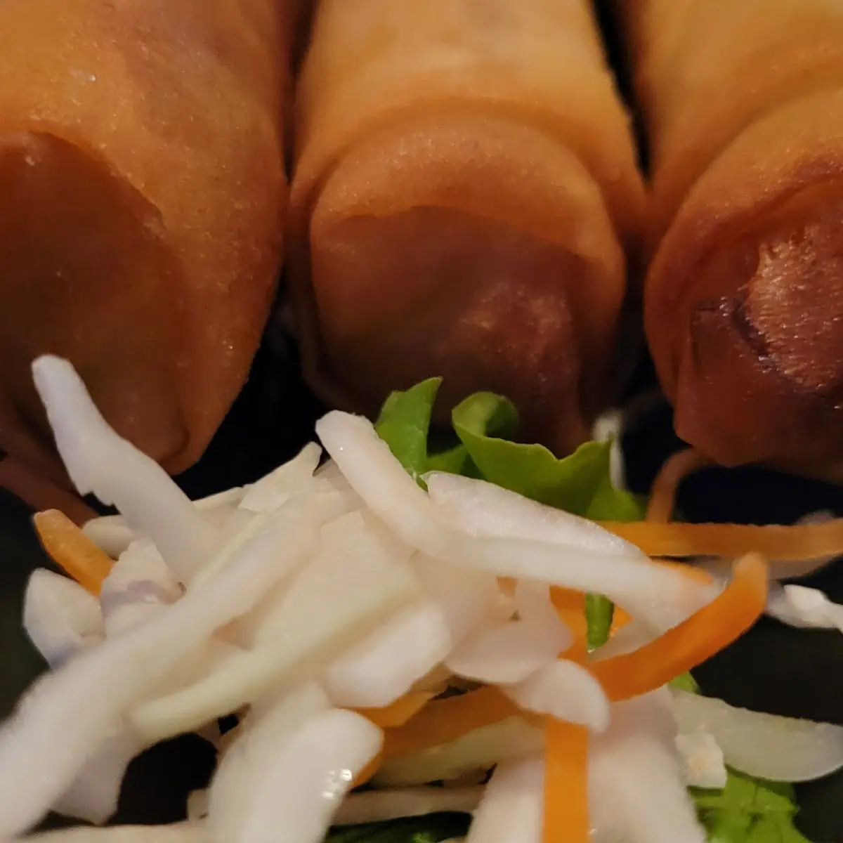 Vegetable Spring Roll 3