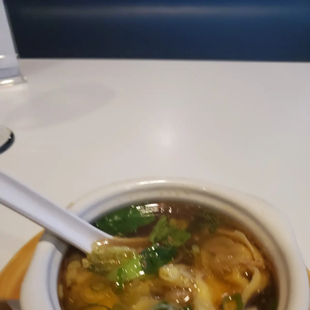Wonton Soup