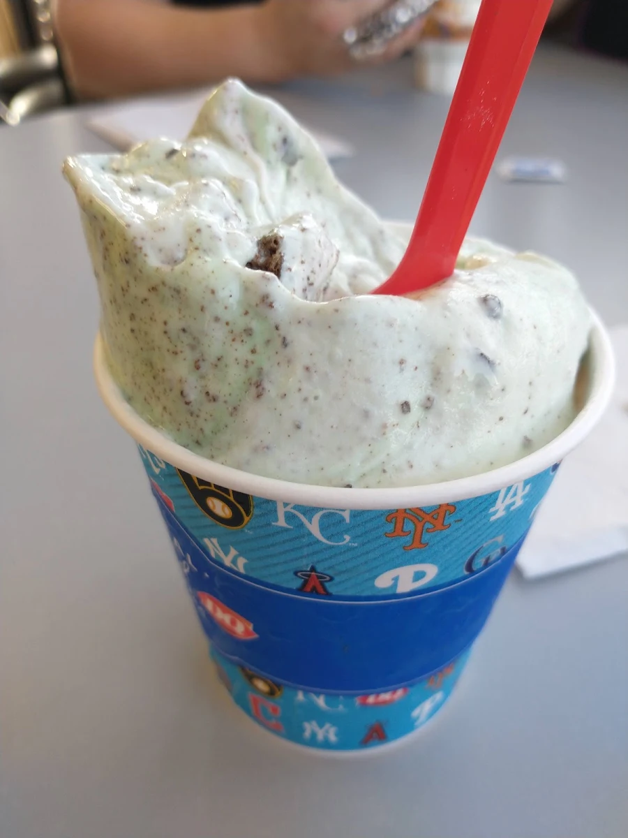 Girl Scout Thin Mint Cookie Blizzard