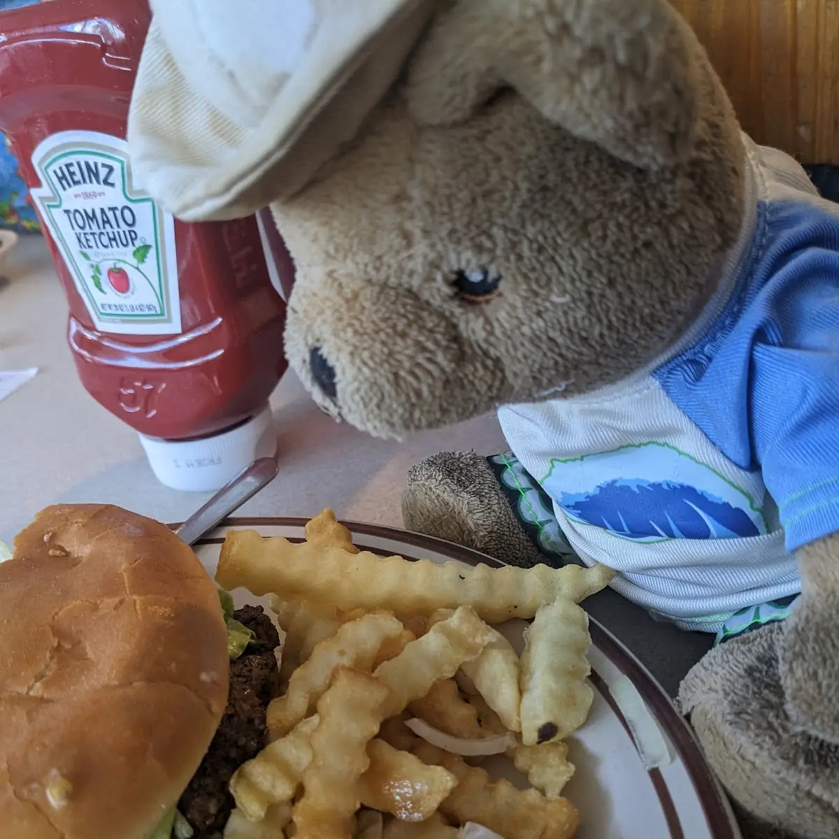 Hamburger and Fries
