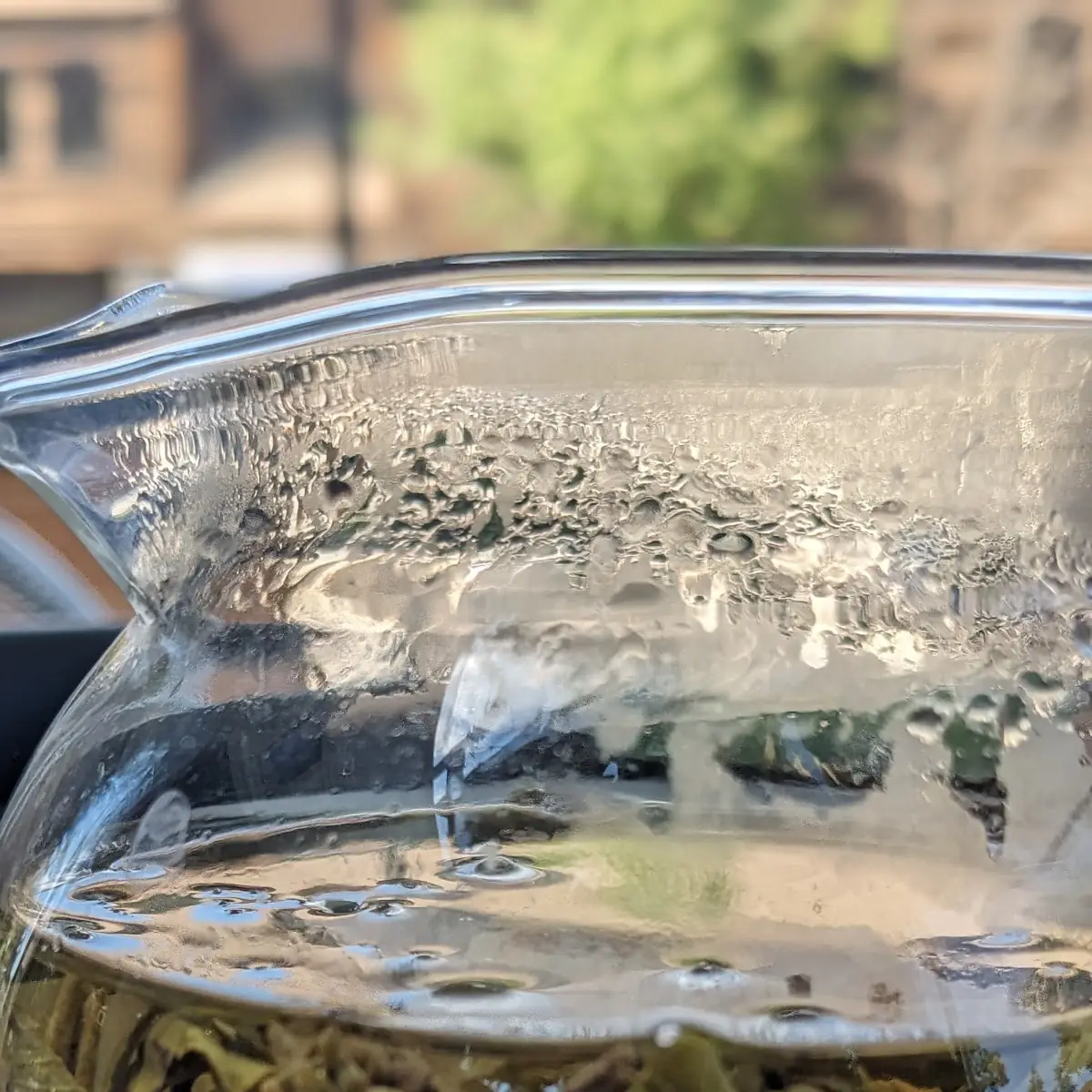 Loose Leaf Tea